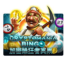 Crypto Mania Bingo รีวิวเกม