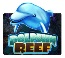 Dolphin Reef เล่นเกม