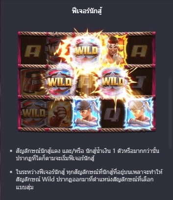 Muay Thai Champion demo pg soft เว็บสล็อต PG