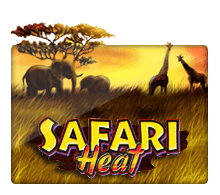 Safari Heat รีวิวเกม