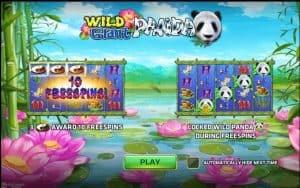 Wild Giant Panda เกมฟรี
