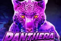 Panthera-Pardus-รีวิวเกม