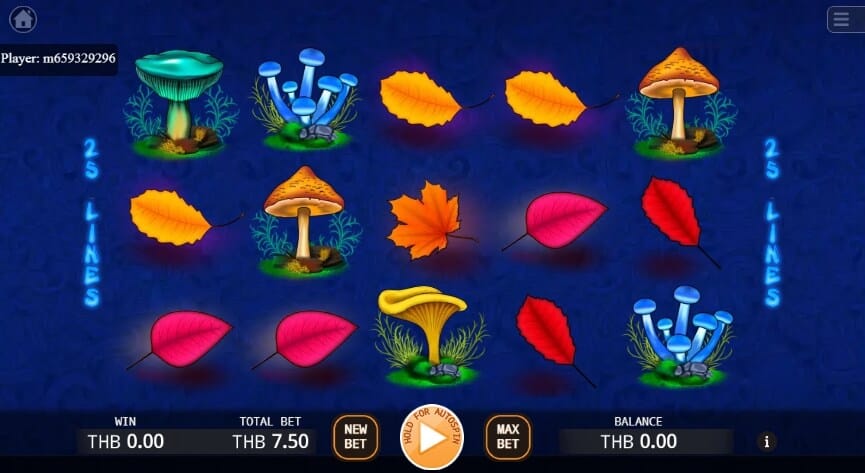 Trippy Mushrooms ค่าย Ka gaming เล่นเกมสล็อต kng365slot