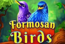Formosan-Birds-ค่าย-ka-gaming--สล็อตออนไลน์เว็บตรง-kng365slot