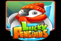 Lucky-Penguins-ค่าย-Ka-gaming-แจกโบนัส-พร้อมเครดิตฟรี--kng365slot
