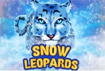 Snow-Leopards-ค่าย-Ka-gaming-แจกโบนัส-พร้อมเครดิตฟรี--kng365slot