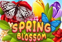 Spring-Blossom-ค่าย-Ka-gaming-เกมสล็อตแจกโบนัส-ทางเข้าเกม--kng365slot