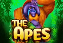 The-Apes--ค่าย-ka-gaming--สล็อตออนไลน์-เว็บตรง-kng365slot