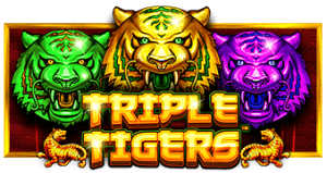 Triple Tigers เกมสล็อตค่าย PRAGMATIC PLAY สล็อต KNG365