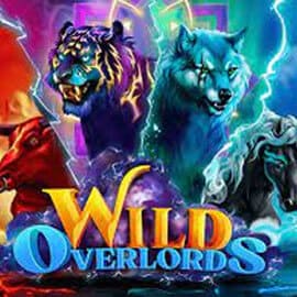 WILD-OVERLORDS-ค่าย-Evo-Play-slotv9-kng365slot