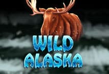 Wild-Alaska-ค่าย-ka-gaming--สล็อตโบนัส-100-%-เว็บตรง-kng365slot