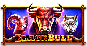 Black Bull ค่าย PRAGMATIC PLAY สล็อต เว็บตรง kng365slot