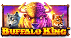 Buffalo King ค่าย PRAGMATIC PLAY สมัคร เกมสล็อต kng365slot