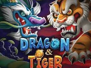 Dragon-&-Tiger-ค่าย-kamatron-เว็บตรง-ไม่ผ่านเอเย่นต์-แตกง่าย-kng365sl