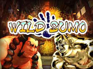 Wild-Sumo--ค่าย-kamatron-สล็อต-เว็บตรง-kng365slot