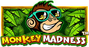 Monkey Madness ค่าย PRAGMATIC PLAY สมัคร เกมสล็อต kng365slot