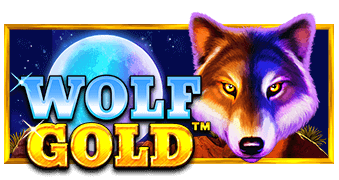 Wolf Gold ค่าย PRAGMATIC PLAY สล็อต เว็บตรง kng365slot