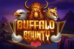 Buffalo Bounty สล็อตค่าย Dragon Gaming เว็บตรง