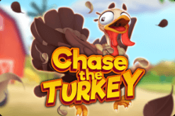 Chase the Turkey สล็อตค่าย Dragon Gaming เว็บตรง