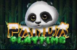 Panda Playtime สล็อตค่าย Dragon Gaming เว็บตรง