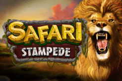 Safari Stampede สล็อตค่าย Dragon Gaming เว็บตรง