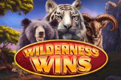 Wilderness Wins สล็อตค่าย Dragon Gaming เว็บตรง