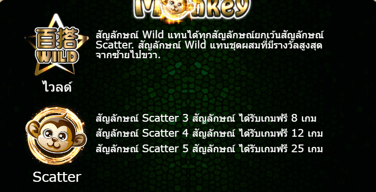 Baby Monkey AMEBA SLOT KNG365SLOT