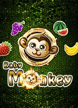 Baby Monkey สล็อต AMEBA เข้าสู่ระบบ KNG365SLOT