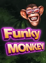 Funky Monkey สล็อต AMEBA เข้าสู่ระบบ KNG365SLOT