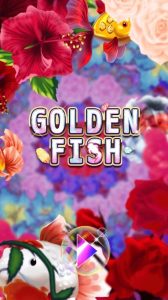 Golden Fish สล็อต AllWaySpin เว็บตรง บนเว็บ KNG365SLOT