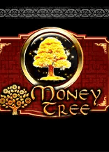 Money Tree สล็อต AMEBA เข้าสู่ระบบ KNG365SLOT